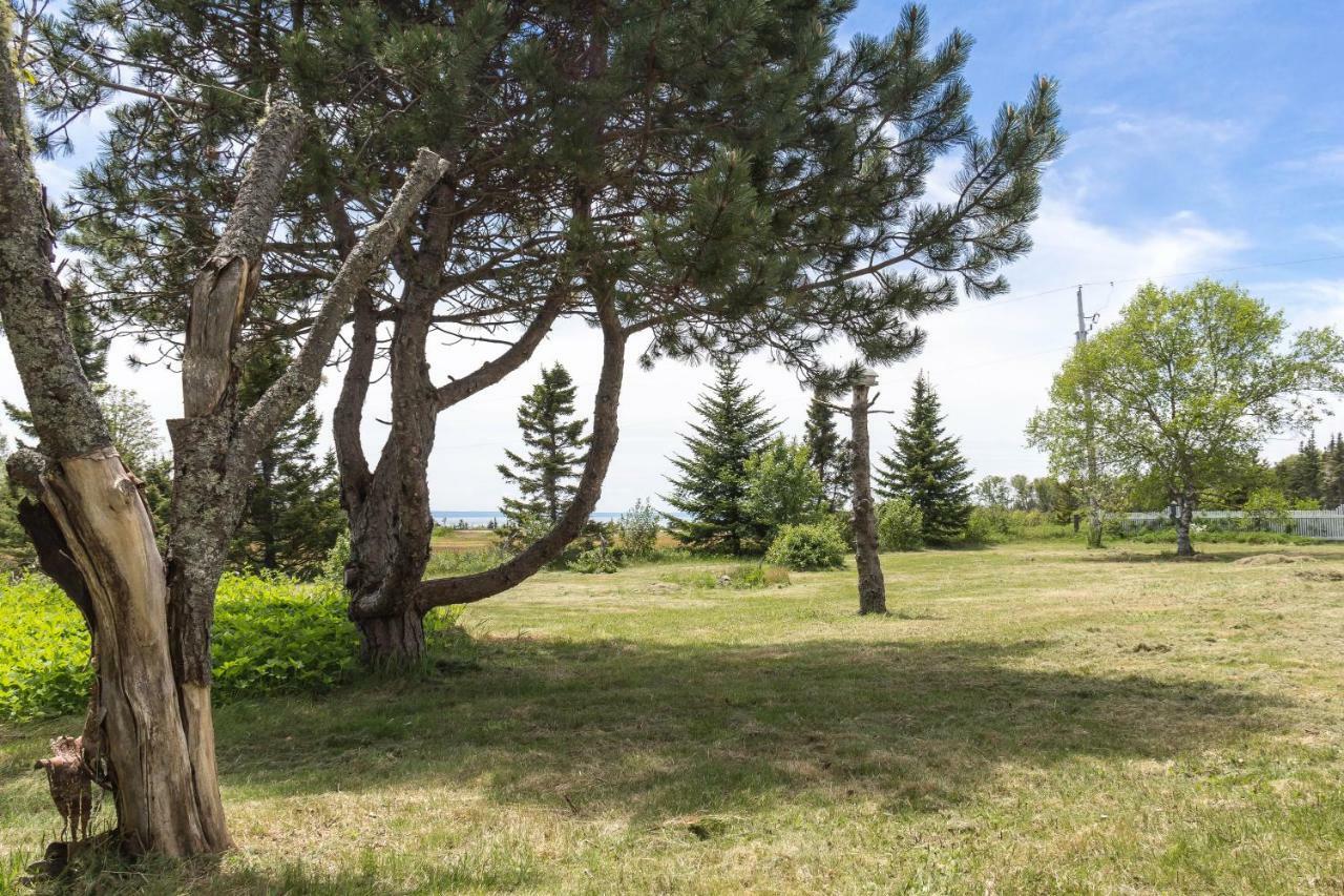 Fox Point Inn Parrsboro Buitenkant foto
